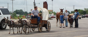 HorseBuggy